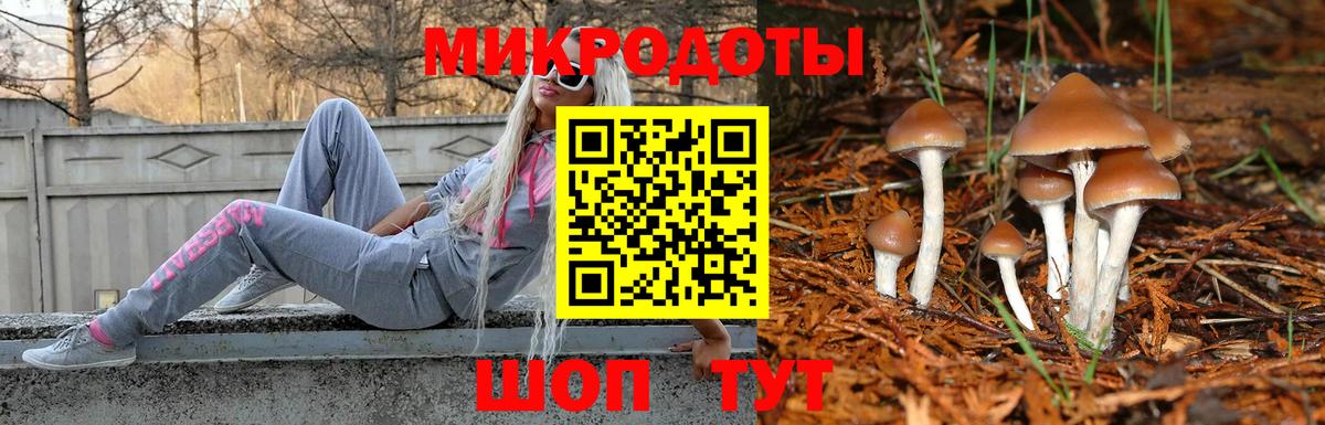 Псилоцибиновые грибы Cubensis  Вход с VPN  Щёлково 