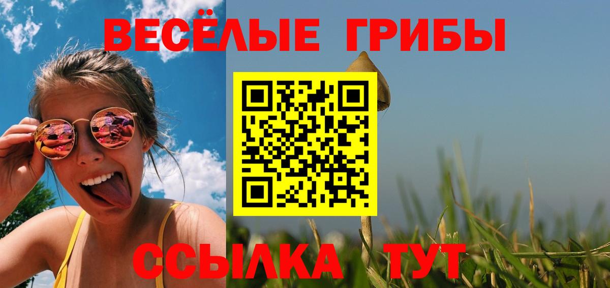 Псилоцибиновые грибы ЛСД Щёлково